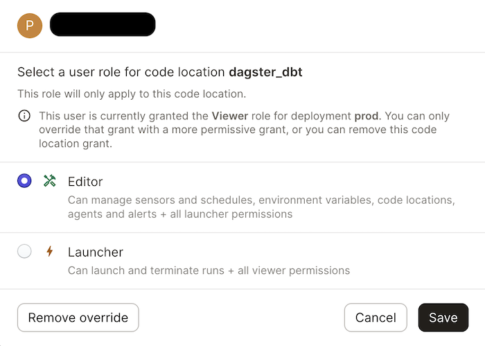Overriding the Viewer user role for a code location